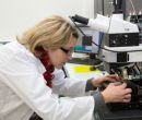 2emes-journees-microscopie-confocale-raman-afm